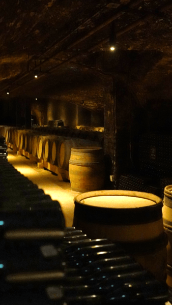 To go further: What is a wine merchant and producer?