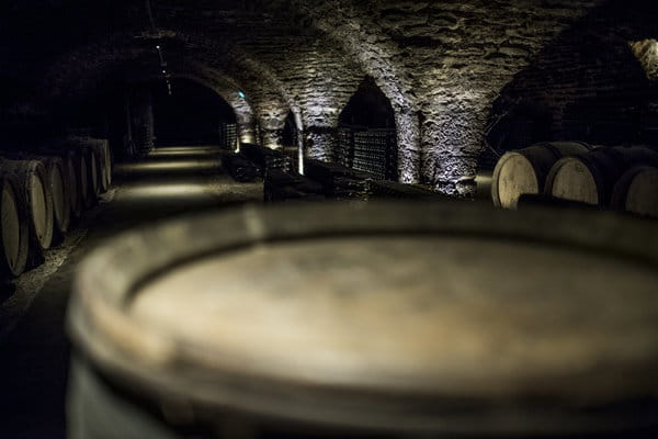 January at Caves Patriarche: when winter unveils Burgundy's soul