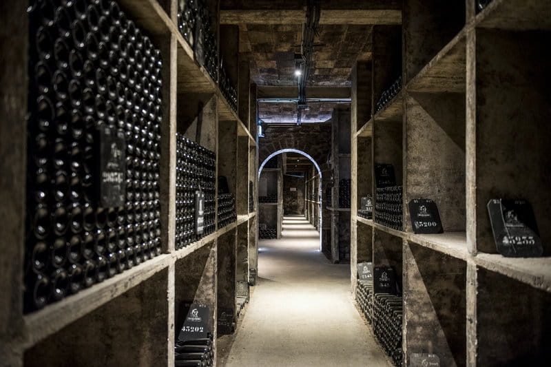 INDIVIDUAL VISIT & WINE TASTING